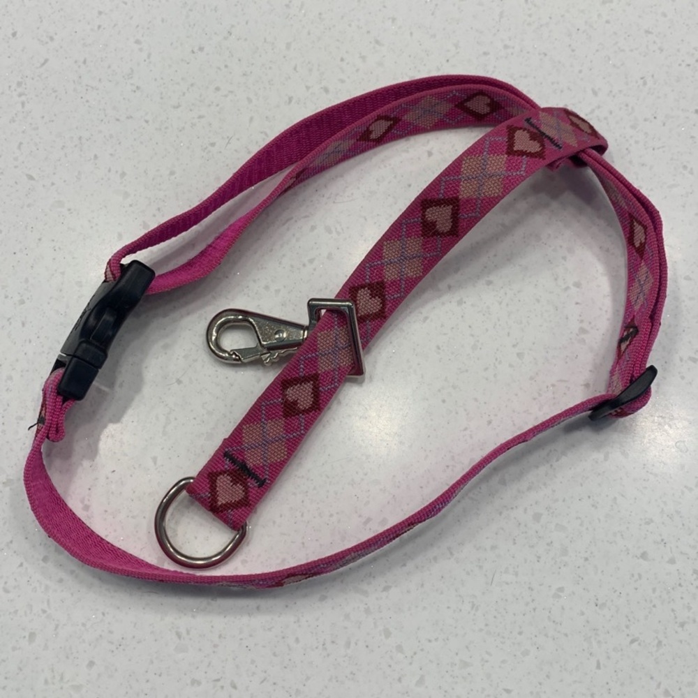 Lupine No Pull Training Harness